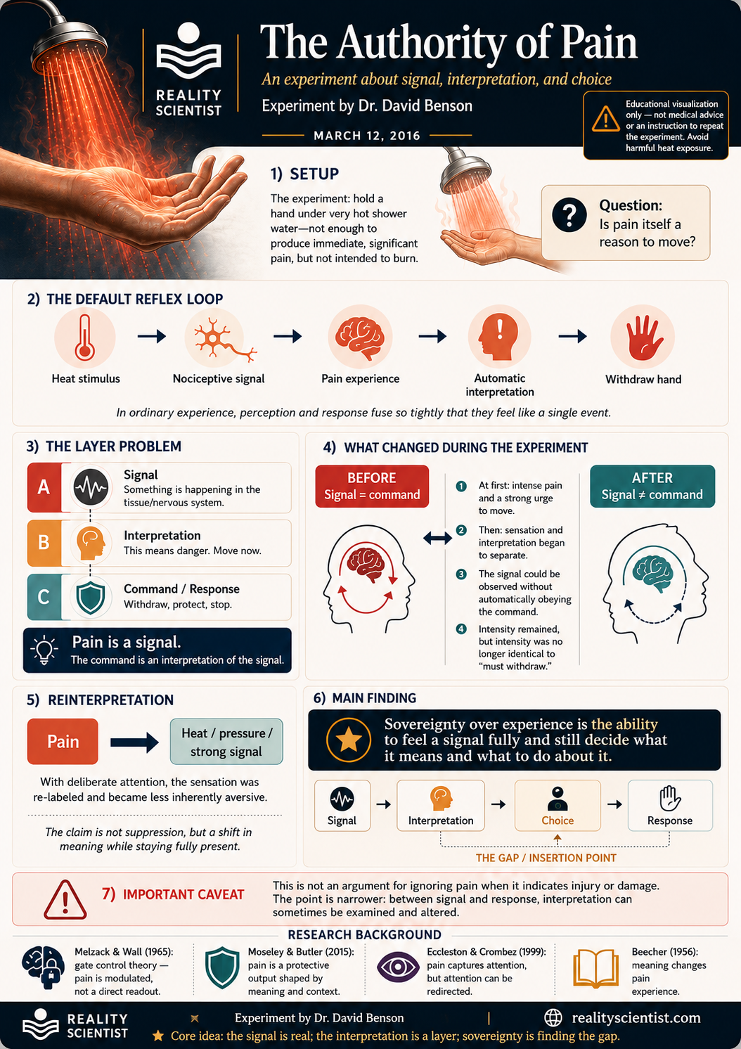 The Authority of Pain: a diagram of signal, interpretation, and choice